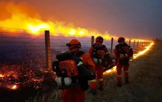 嚴防森林火災，守牢紅線底線