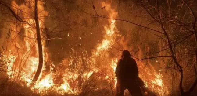 明火已撲滅,初步判斷由祭祀用火引發(fā)!今年已發(fā)生多起